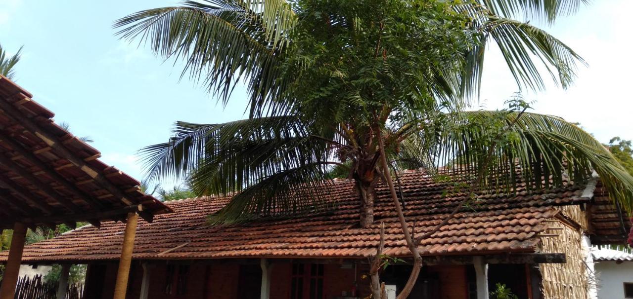 Walkers Hostel Trincomalee Eksteriør bilde